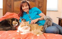 Diana Einhorn mit unseren Katzen