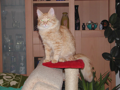 Alijoscha im Januar 2002