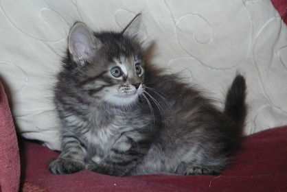 Alexa am 28.07.2009