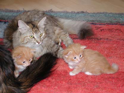 Babushka, Bajara und Anni am 17.5.2002