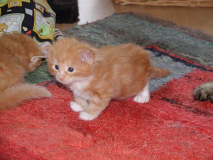 Bajara am 17.5.2002
