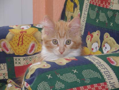 Bajara am 18.7.2002