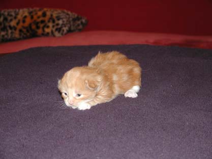 Bajara am 4.5.2002