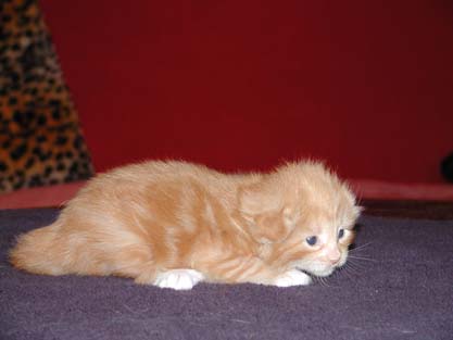 Bajara am 9.5.2002