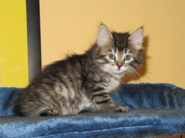 Cezar am 06. Juni 2010