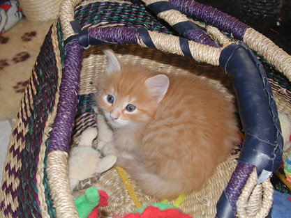 Dimitri am 8.2.2004