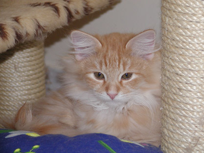 Dimitri am 12.4.2004