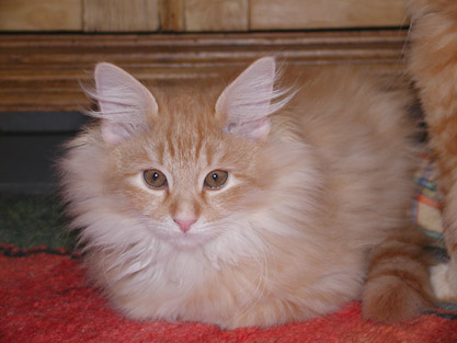 Dimitri am 12.4.2004