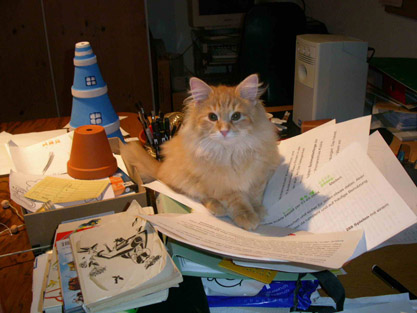 Dimitri am 3.5.2004
