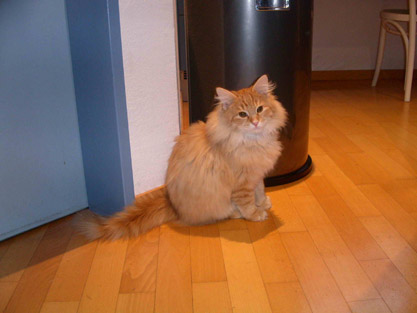 Dimitri am 9.5.2004