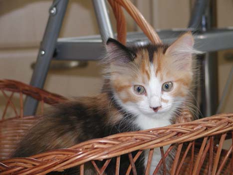 Elenjia am 19.9.2004