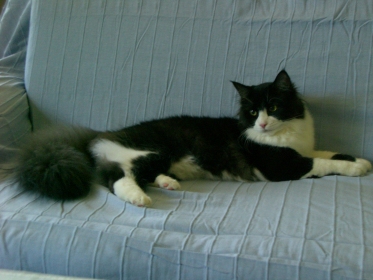 Einstein-Zorro am 04.07.2011