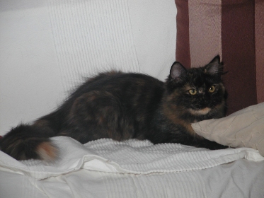Fedotia am 29.08.2010