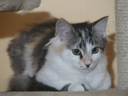 Hermine am 14. August 2011