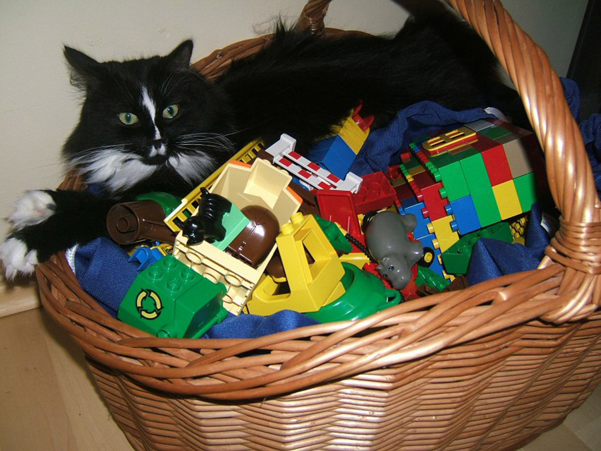 Ian im Januar 2009