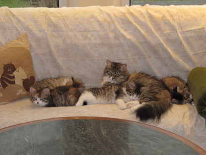 I2-Familenfoto am 26.12.2012