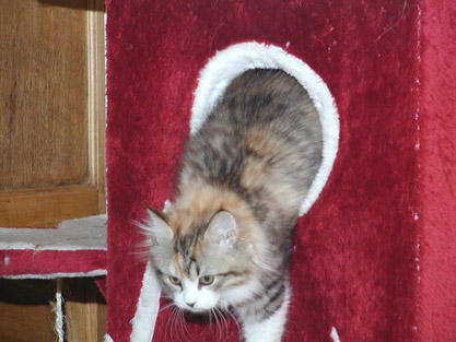 Ivana am 05.02.2012
