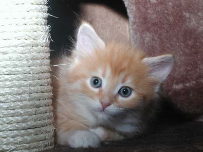 Jonas am 26.05.2012