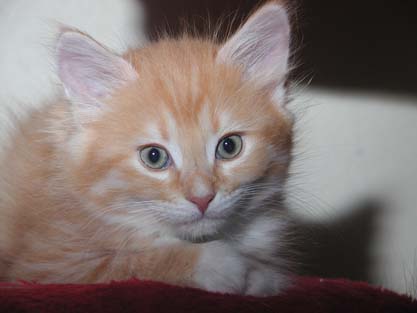 Jonas am 16.06.2012