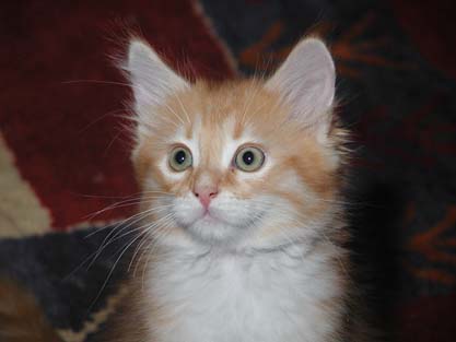 Jonas am 26.06.2012