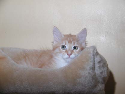 Jonas am 17.07.2012