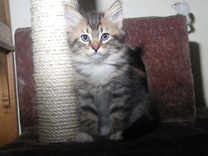Joshua am 16.06.2012