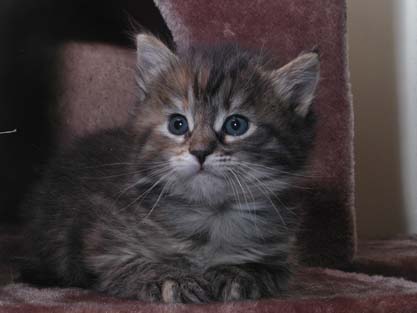 Jule am 17.05.2012