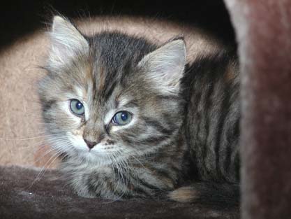 Jule am 26.05.2012