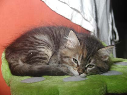 Jule am 16.06.2012