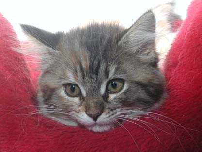 Jule am 26.06.2012