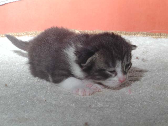 Karlos am 13.05.2012