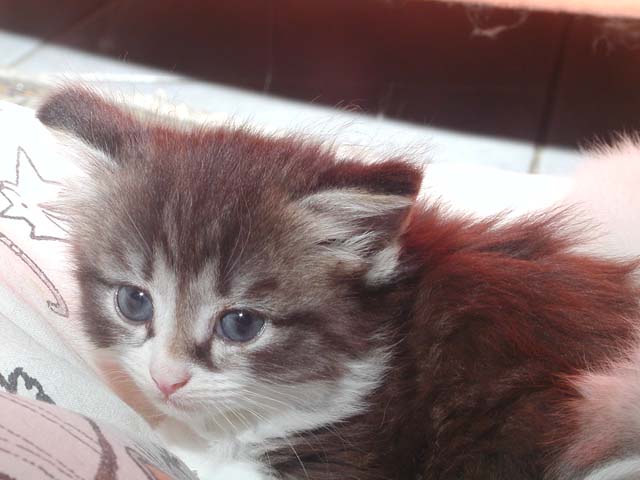 Karlos am 05.06.2012