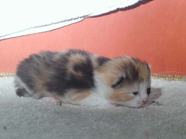 Kathi am 13.05.2012