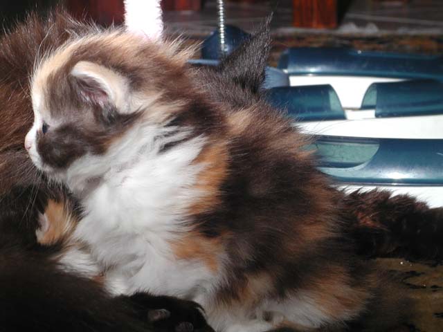 Kathi am 27.05.2012