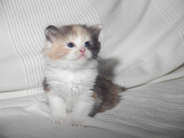 Kathi am 05.06.2012