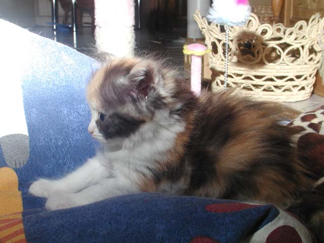 Kathi am 11.06.2012