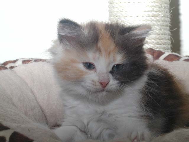 Kathi am 24.06.2012