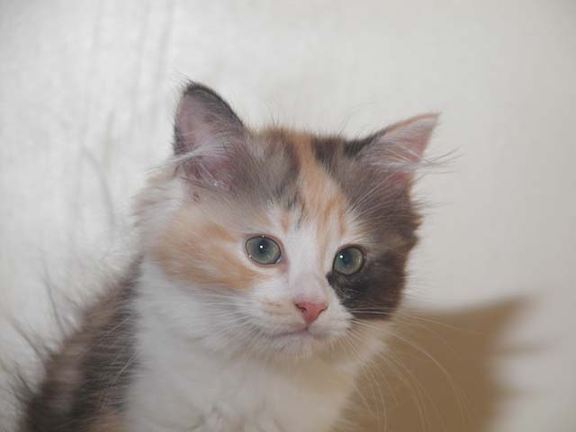 Kathi am 17.07.2012