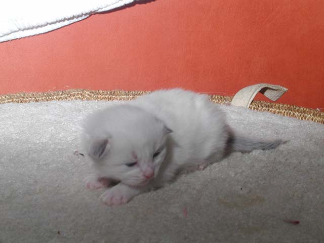Konstantin am 13.05.2012