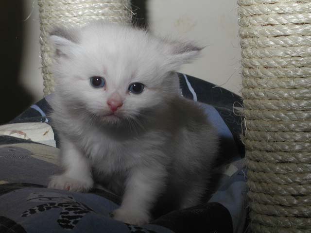 Konstantin am 27.05.2012