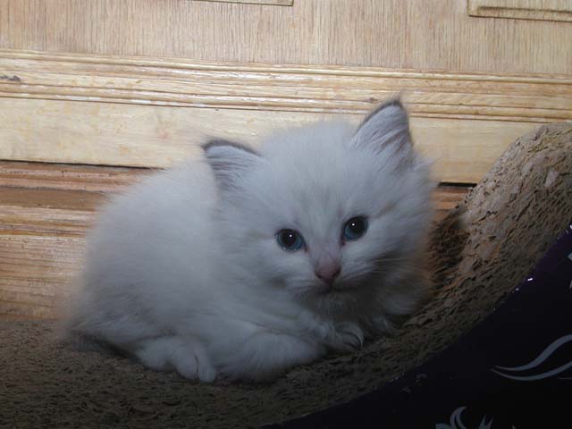 Konstantin am 05.06.2012