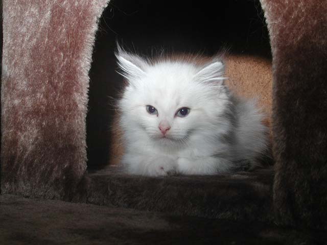 Konstantin am 17.06.2012