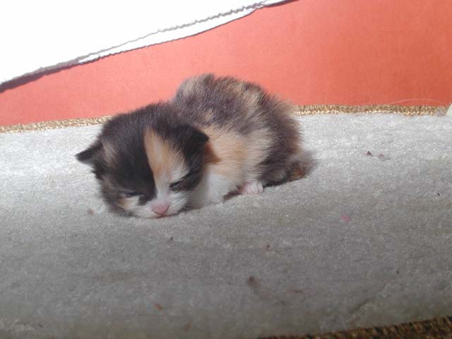 Kyra am 13.05.2012