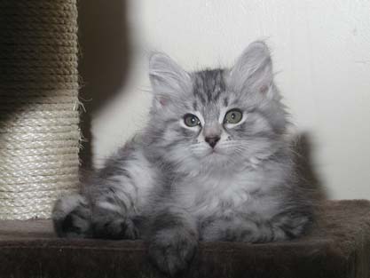 Lancelot am 18.07.2012
