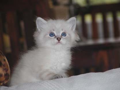Leon am 23.06.2012