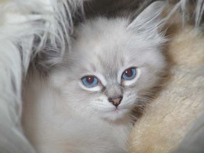 Leon am 18.07.2012