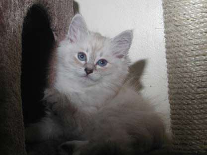 Leopold am 18.07.2012