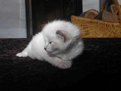 Leopold am 31.05.2012