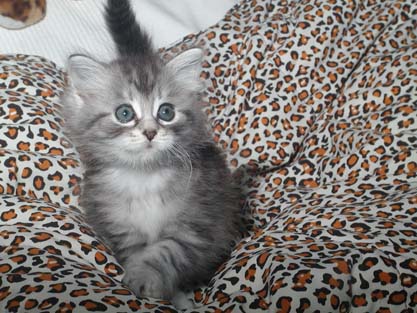 Lizzi am 23.06.2012
