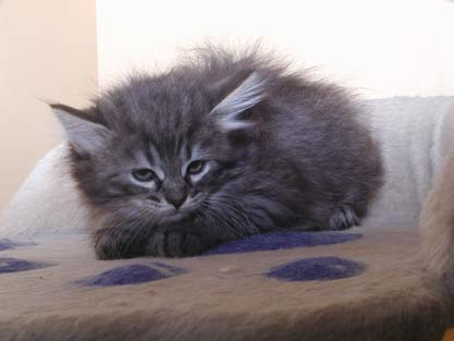 Minka am 19.07.2012